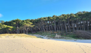 Melide Playas de Pintens Ría de Aldán